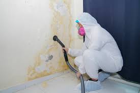 Best Biohazard Mold Removal  in Lebanon, MO